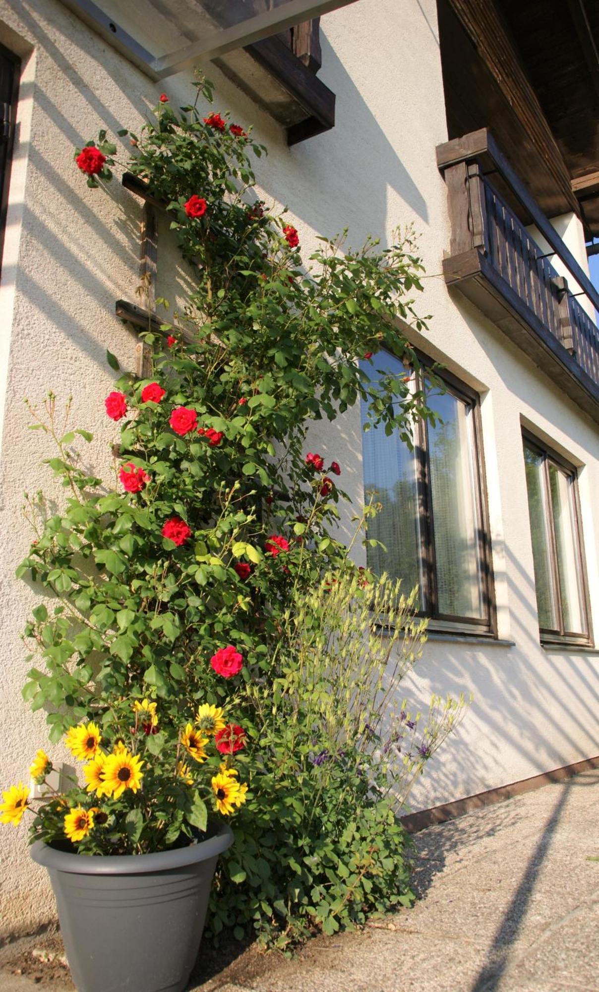 Die Sonnenblume Ξενοδοχείο Sankt Kanzian am Klopeiner See Εξωτερικό φωτογραφία